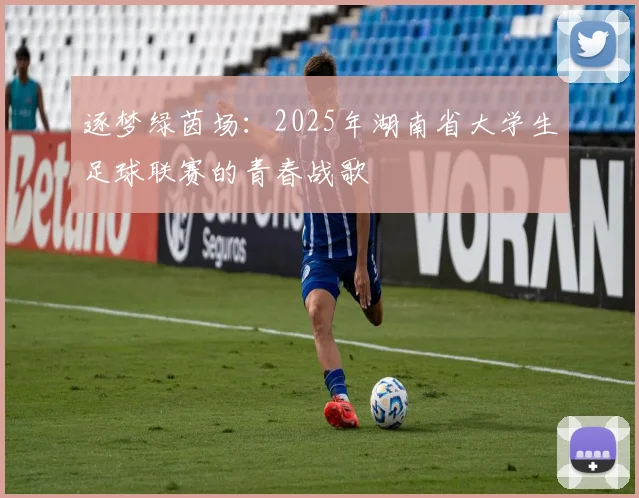 逐梦绿茵场:2025年湖南省大学生足球联赛的青春战歌