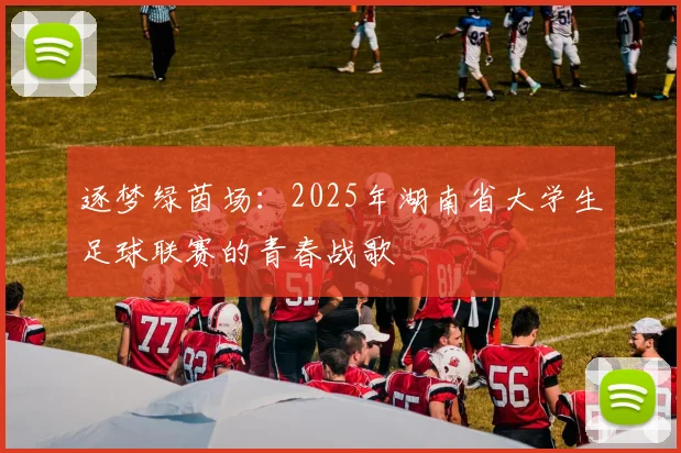 逐梦绿茵场:2025年湖南省大学生足球联赛的青春战歌